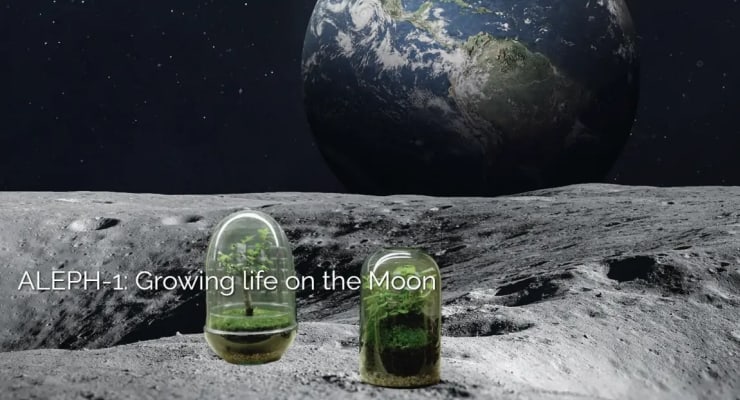 Ay’da yiyecek yetiştirme