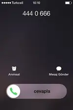 4440666 4440666